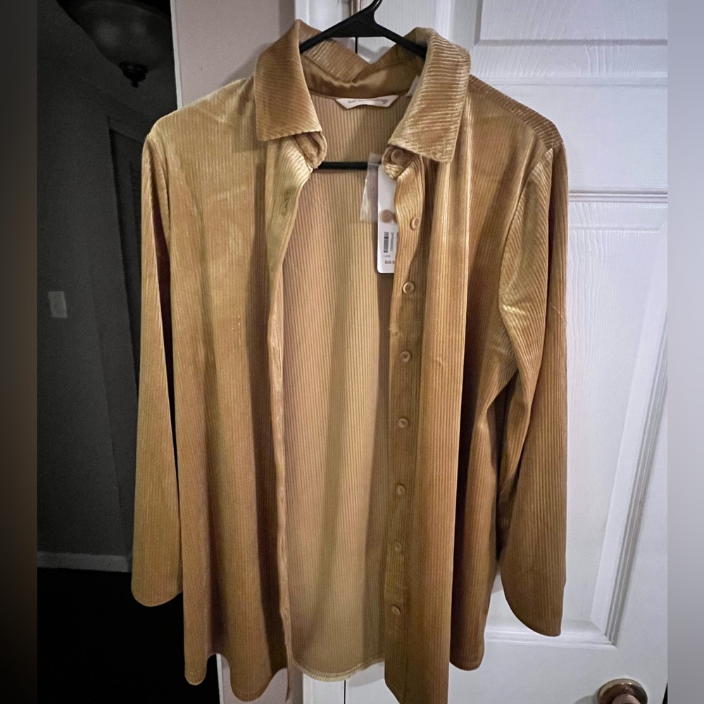 Soft surroundings boyfriend shirt velvet